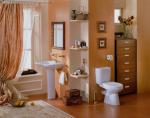 Напольные  Santek компакт Анимо 1WH302136 с микролифтом