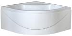 Душевой угол  Royal Bath 100BK-C-CH (матовое)