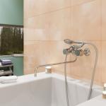 Современный  Для ванны и душа MIXLINE ML0 1-02 (522119)