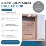 Зеркало-шкаф  Vigo, 