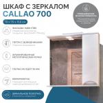 Зеркало-шкаф  Vigo, 